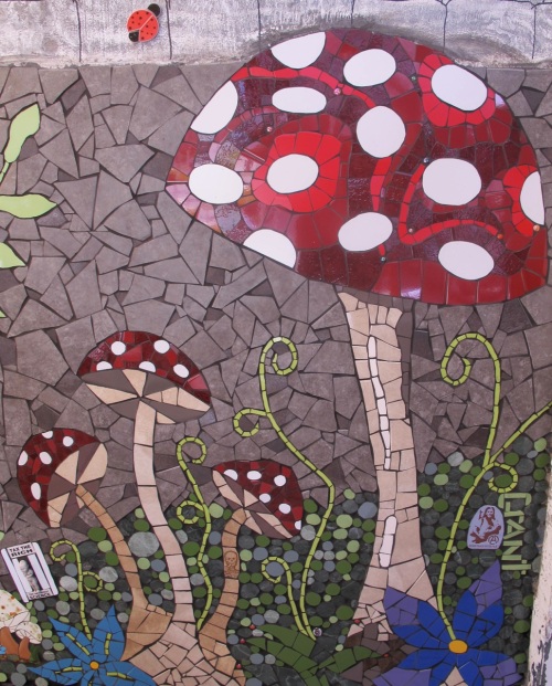 My Family of Magic Mushrooms © Kim Grant 2014